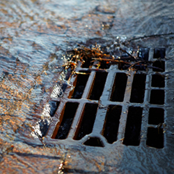 drains-square.jpg
