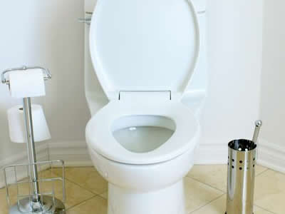 toilets.jpg